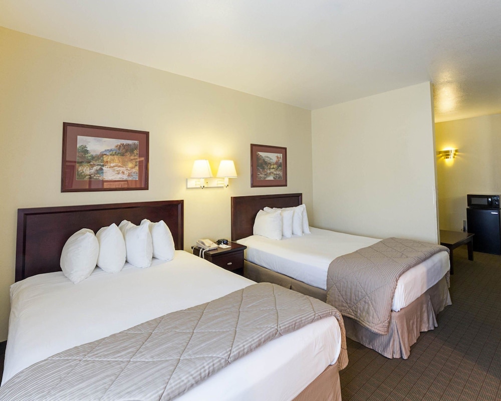 quality inn and suites