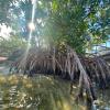 sunset cove beach resort