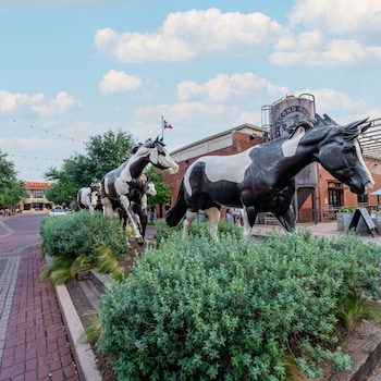 fort worth