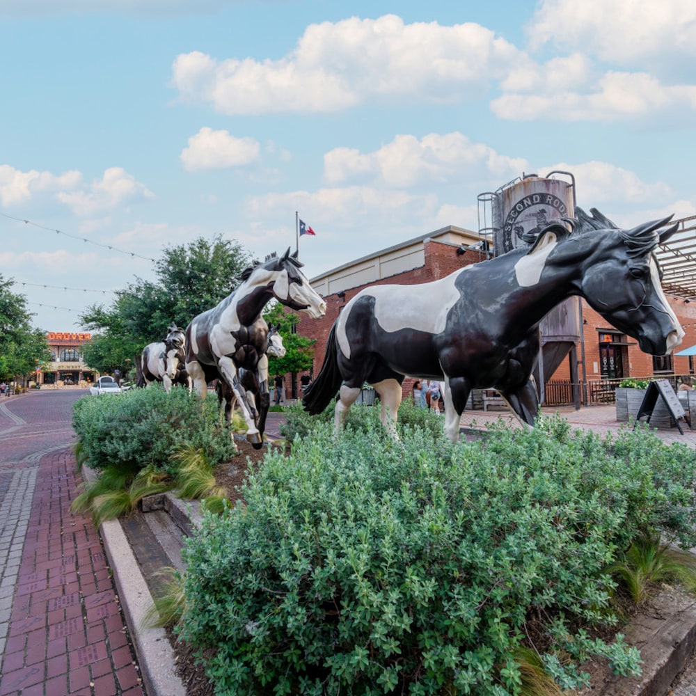 fort worth