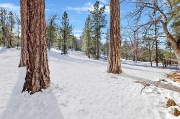 big bear lake