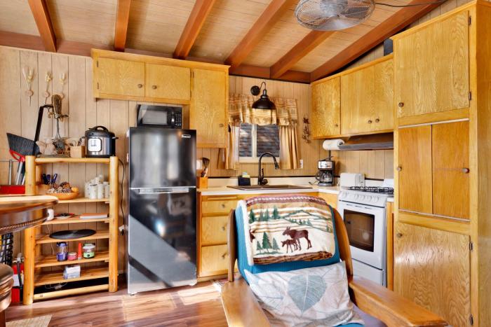 ski view chalet 2215