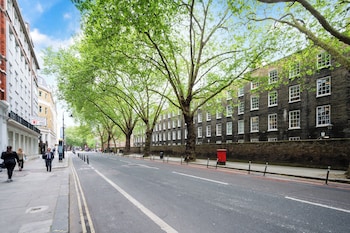 avari apartments grays collection