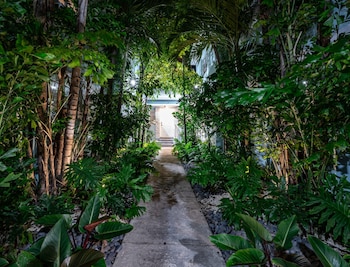miami beach