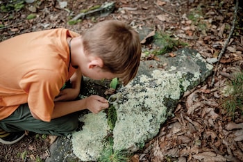 timberline glamping cheaha