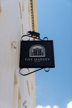 the harvey