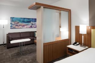 springhill suites by marriott orlando at seaworld