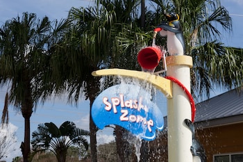 springhill suites by marriott orlando at seaworld