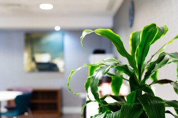 holiday inn express birmingham snow hill by ihg