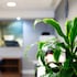 holiday inn express birmingham snow hill by ihg