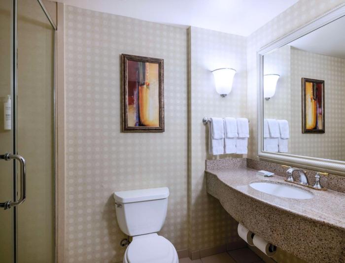 hilton garden inn las vegas strip south