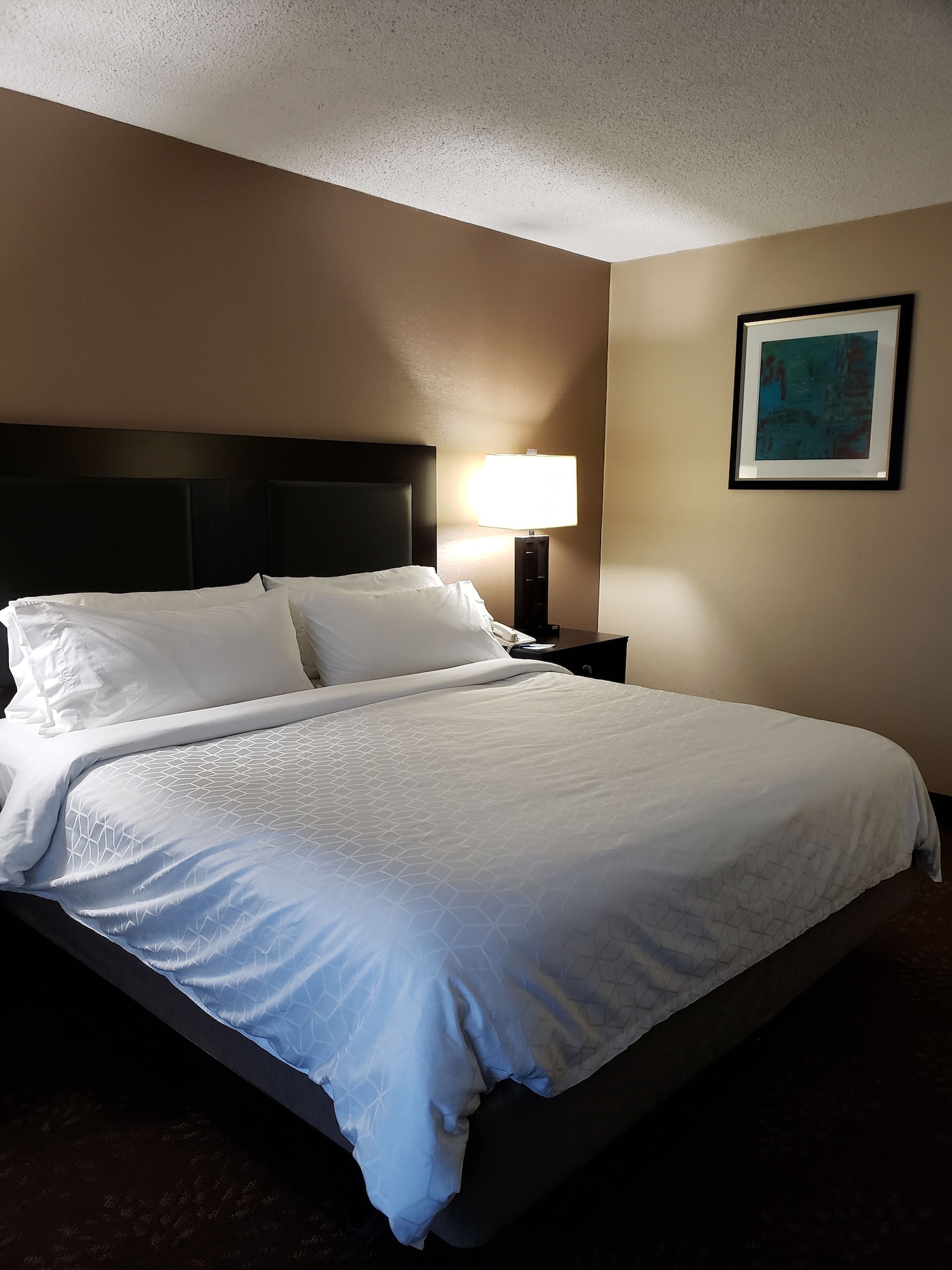 holiday inn express detroit birmingham by ihg