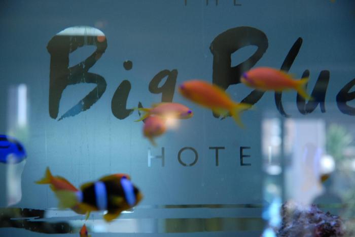 big blue hotel
