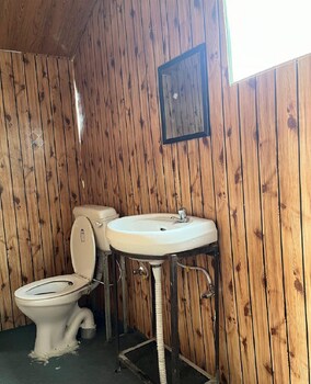 padma cottage pangong