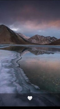padma cottage pangong