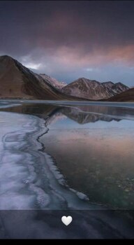 padma cottage pangong