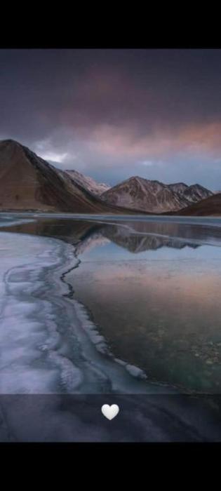 padma cottage pangong