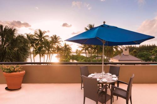 hilton miami airport blue lagoon
