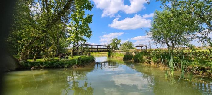 inviting 1 bed cabin in newmarket