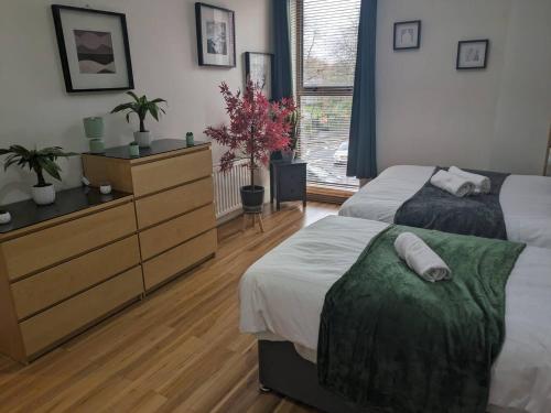 2br modern luxury loft apartment