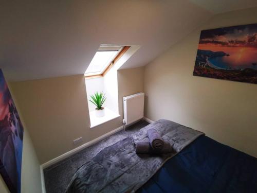 4br modern botanic house