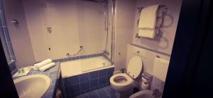 hotel blaise and francis