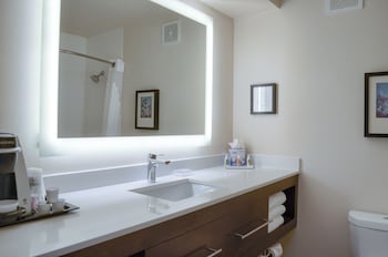 Holiday Inn Mobile West I-10 By Ihg,Tillmans Corner>>Mobile,3 star