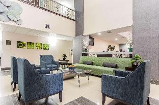 comfort suites pineville ballantyne area