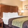 comfort inn and suites piqua near troy i75