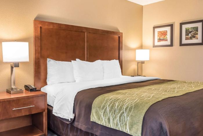 comfort inn and suites piqua near troy i75