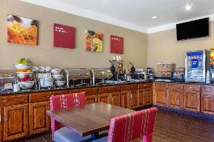 comfort suites plainview