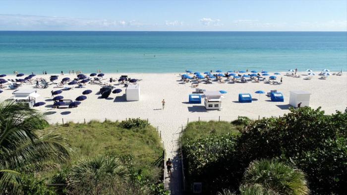 circa 39 miami beach