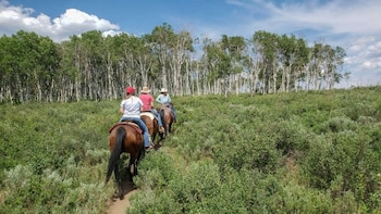 steamboat springs