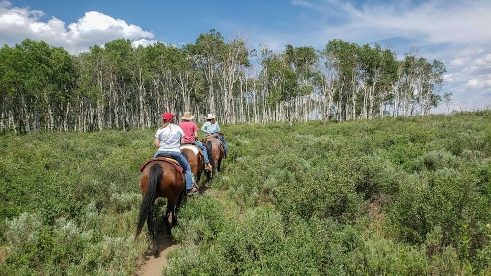 steamboat springs
