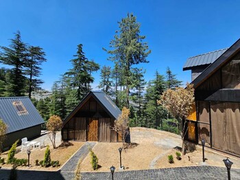 blackpearl cottages kufri