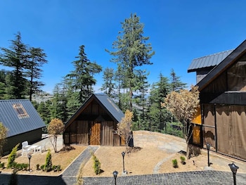 blackpearl cottages kufri