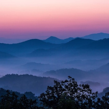 pigeon forge