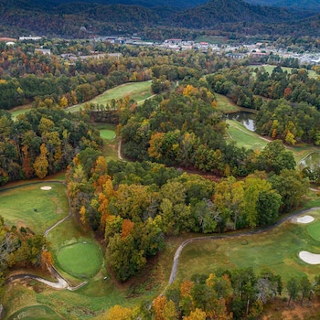pigeon forge