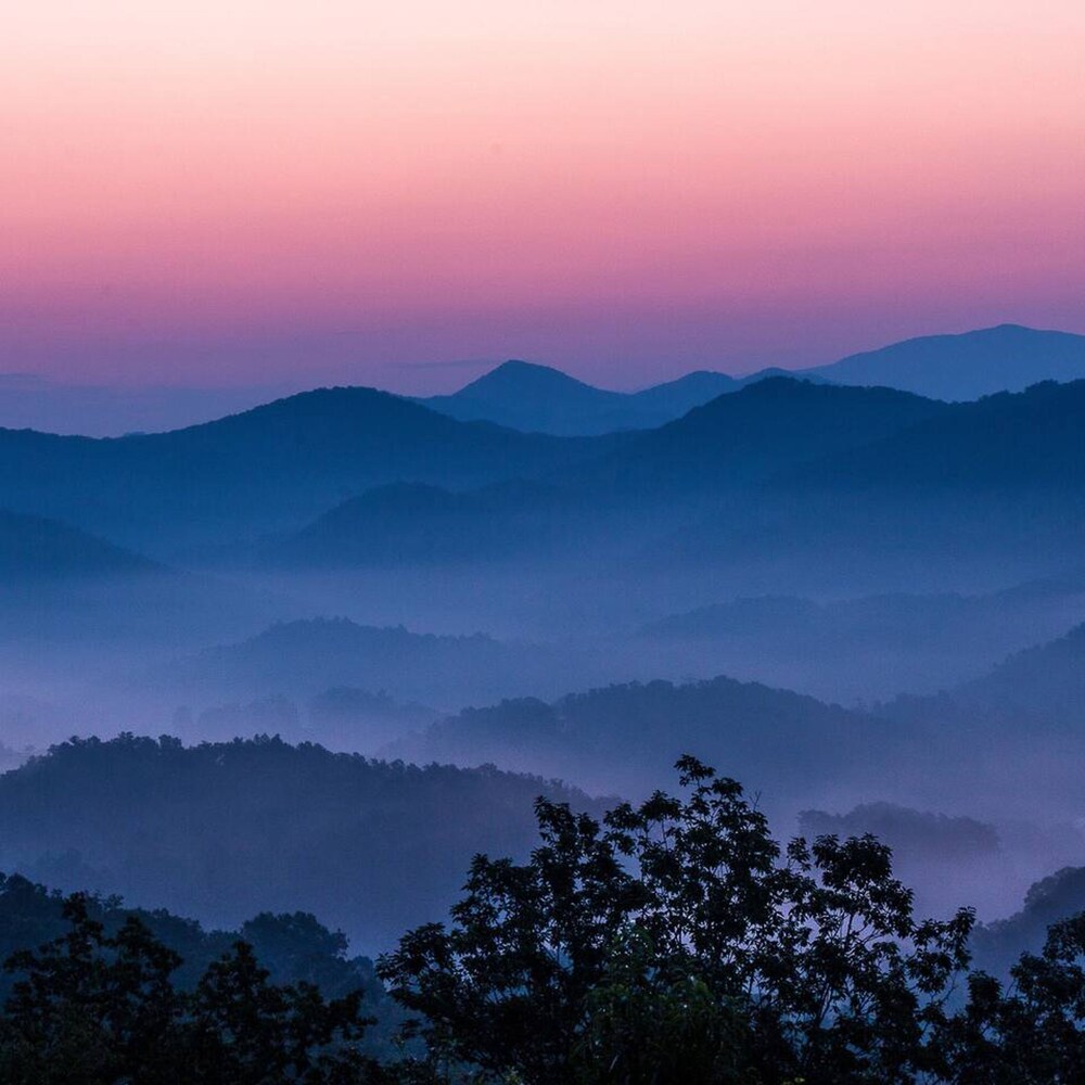 pigeon forge
