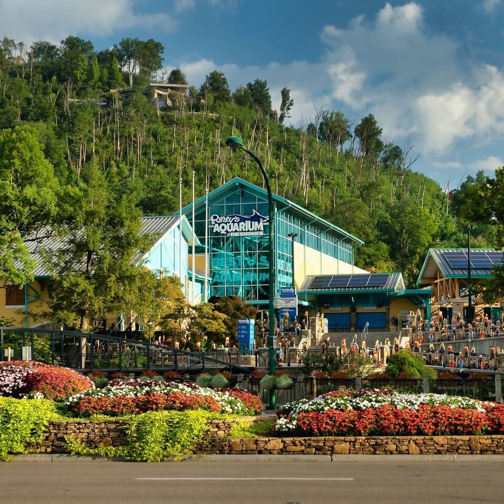 pigeon forge