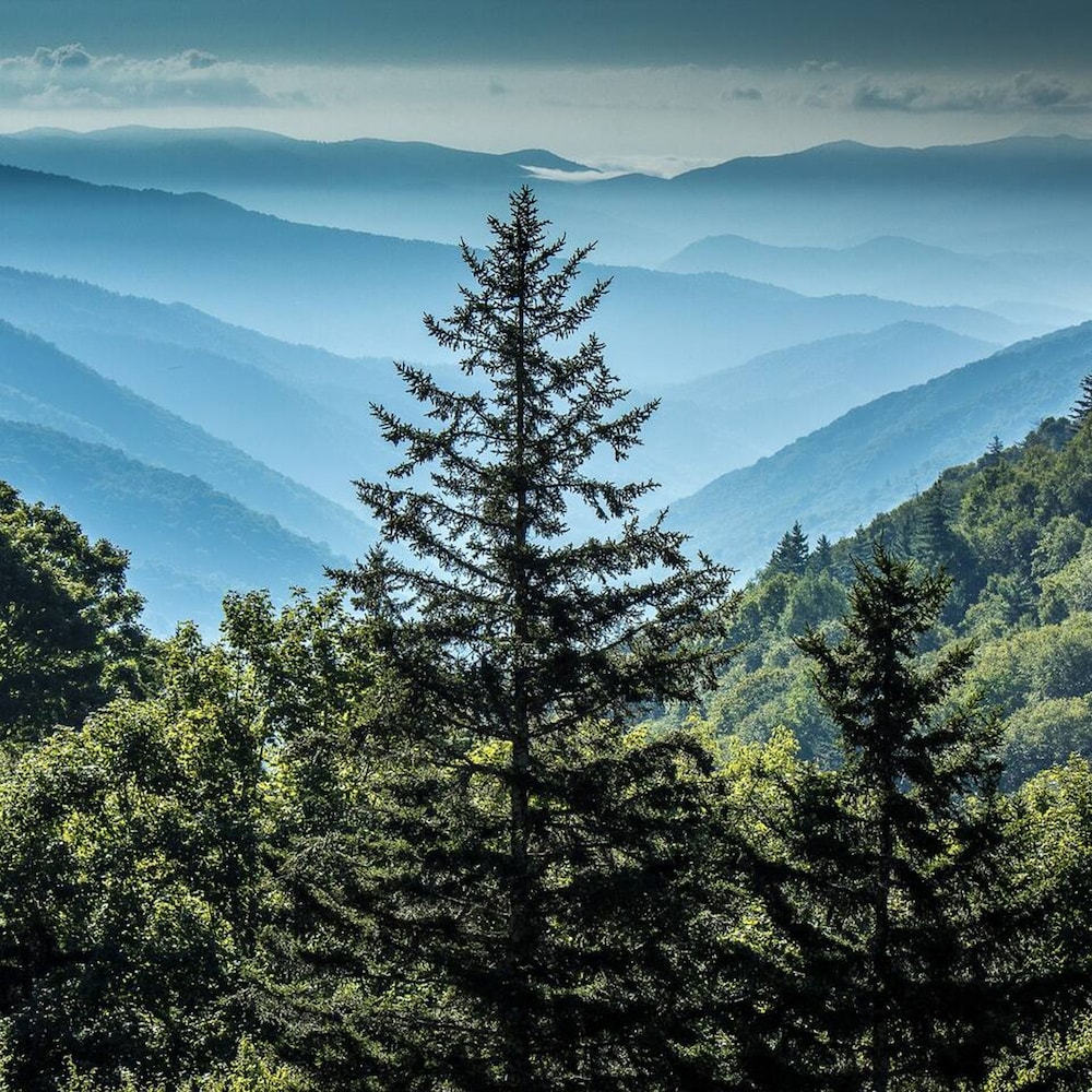 pigeon forge