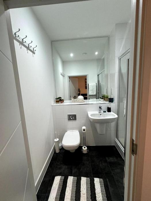 cozy bracknell apartment with modern amenities