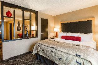 Cambria Hotel Minneapolis Maple Grove,Minneapolis>>Maple Grove,3 star