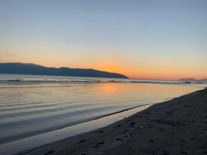 vlore