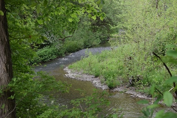 newark valley