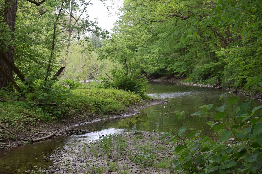 newark valley