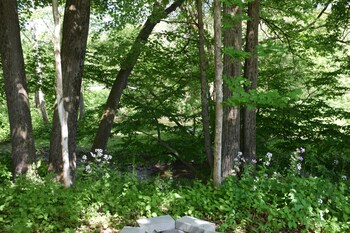 newark valley