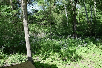 newark valley