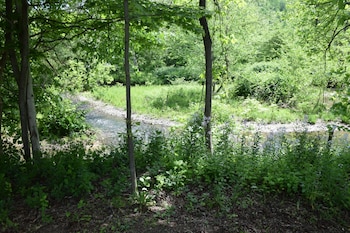 newark valley