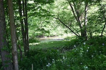newark valley